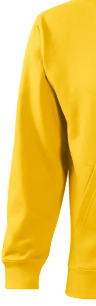 Herren Sweatshirt mit Kapuze - Klassische lange Ärmel